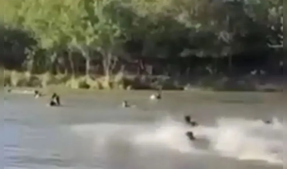 Se presume que el puente colapsó por exceso de peso. Foto: captura de pantalla