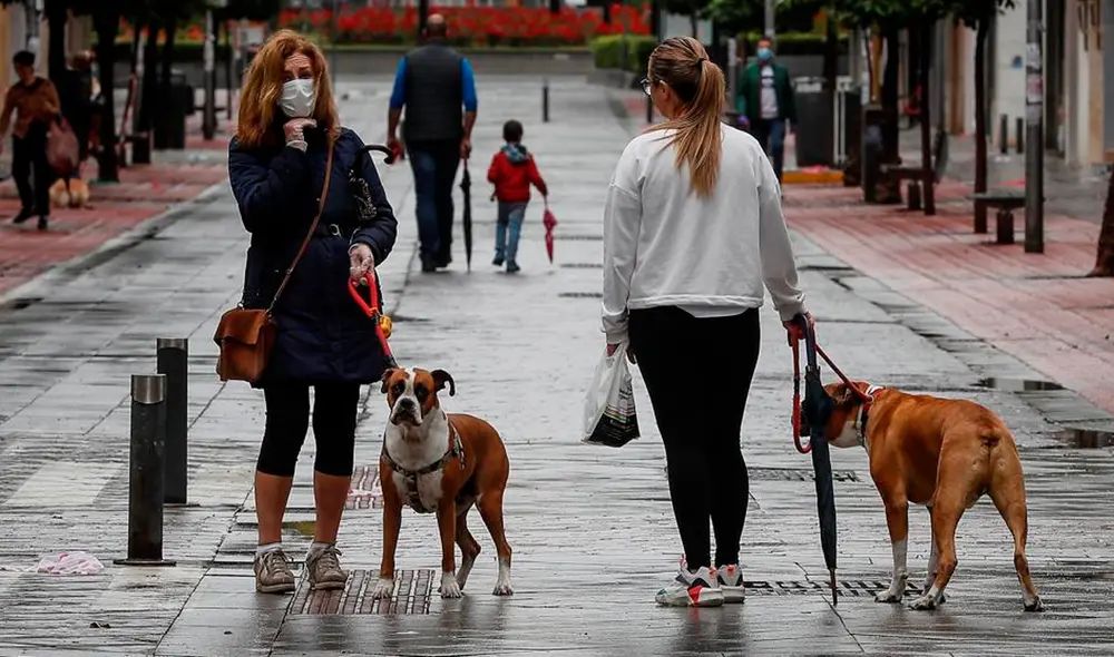 Las dos mujeres deberán comparecer ante la Justicia de Alemania por cargos de lesiones físicas. Foto: EFE/referencial Las dos mujeres deberán comparecer ante la Justicia de Alemania por cargos de lesiones físicas. Foto: EFE/referencial
