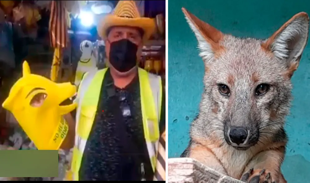 Desde que su historia se hizo viral en redes sociales, los vendedores no han parado de realizar muñecos con la imagen de Run Run. Foto: LR/Parque de las Leyendas