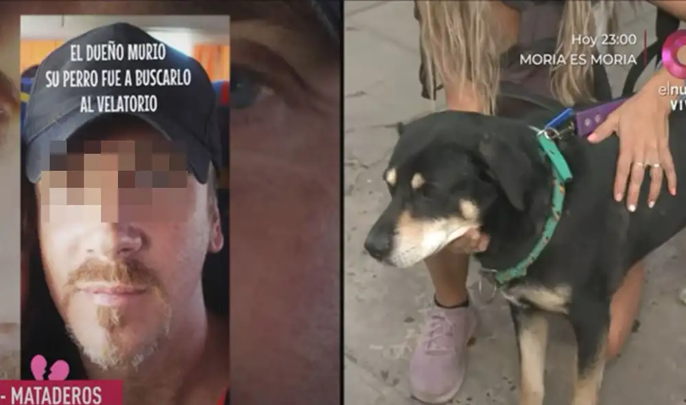 Esta historia ha conmovido a miles de personas. Foto: captura de YouTube