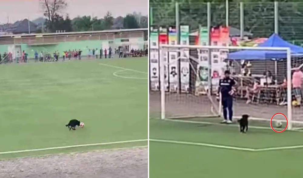 Estas divertidas imágenes se volvieron tendencia en varias redes sociales. Foto: captura de YouTube Estas divertidas imágenes se volvieron tendencia en varias redes sociales. Foto: captura de YouTube