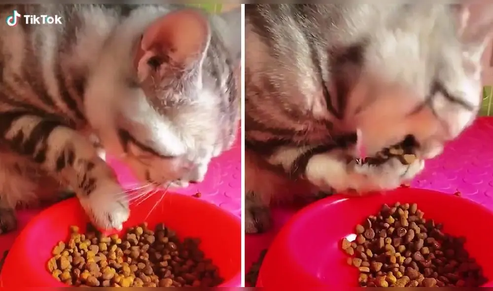 Video ha conseguido más de cinco millones de reproducciones. Foto: captura de TikTok