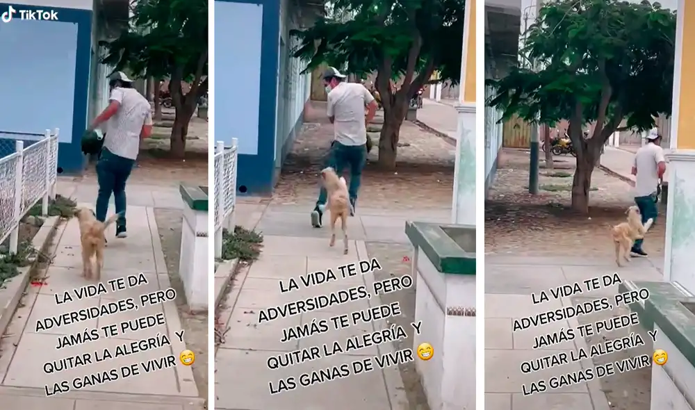 Video ha conseguido más de medio millón de reproducciones. Foto: captura de TikTok