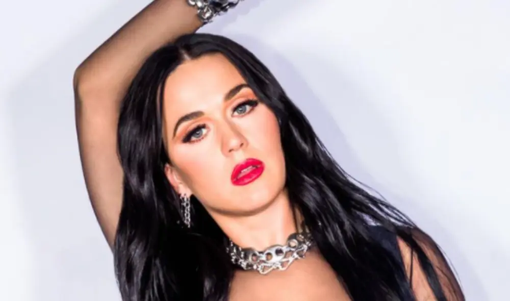 El famoso DJ recurrió a la cantante para lanzar este nuevo tema en conjunto, previo a las fiestas de fin de año. Foto: Instagram Katy Perry