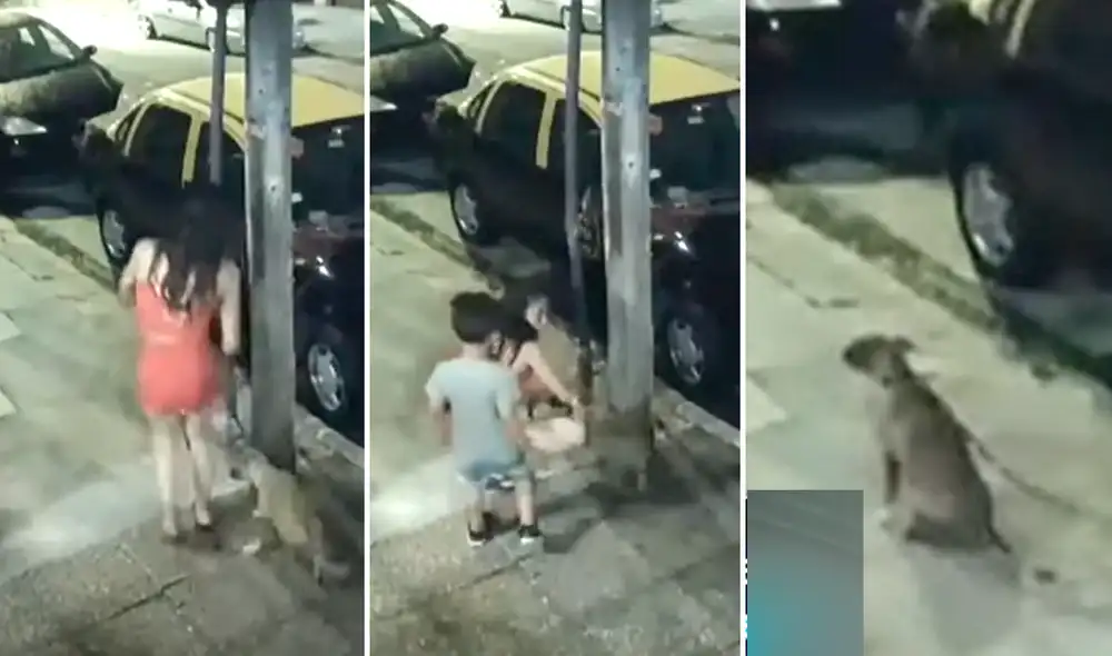 El peludito comenzó a llorar y a ladrar de la desesperación tras ver que su familia lo dejaba abandonado en el poste. Foto: captura de YouTube