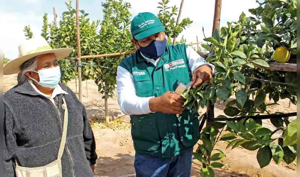 Aprendizaje. Lograron certificación de buenas prácticas. agrícolas. Aprendizaje. Lograron certificación de buenas prácticas. agrícolas.