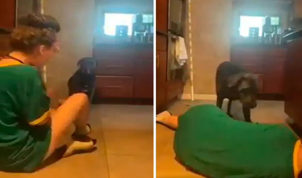 Una joven actuó una situación de riesgo para saber la reacción de su querida mascota, pero no imaginó que se iba a llevar una conmovedora sorpresa. Foto: captura de YouTube Una joven actuó una situación de riesgo para saber la reacción de su querida mascota, pero no imaginó que se iba a llevar una conmovedora sorpresa. Foto: captura de YouTube