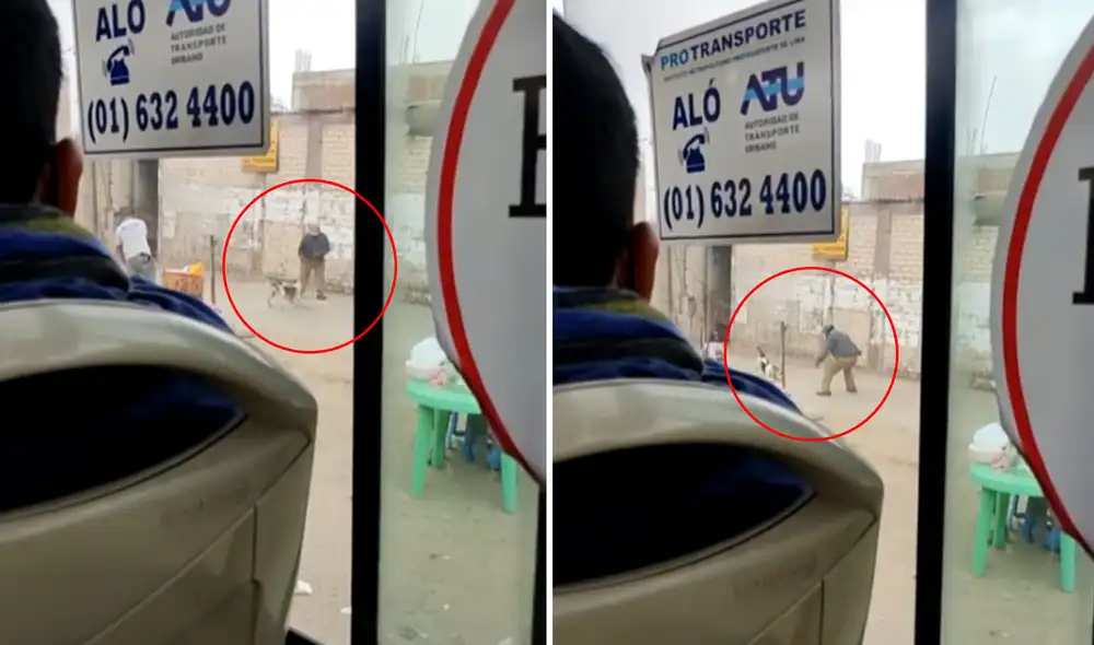 Las conmovedoras imágenes ya son tendencia en las redes sociales. Foto: captura de TikTok