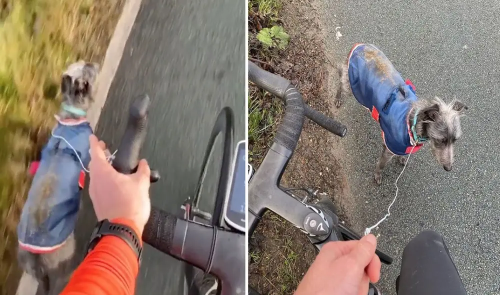 Miles de usuarios quedaron fascinados al conocer esta historia. Foto: captura de YouTube