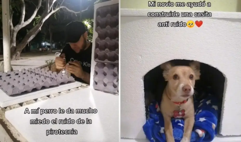 La joven de usuario @gengallardo9 se mostró muy agradecida con su pareja, quien despertó la curiosidad de muchos en saber cómo había construido la casa de la mascota. Foto: captura de TikTok