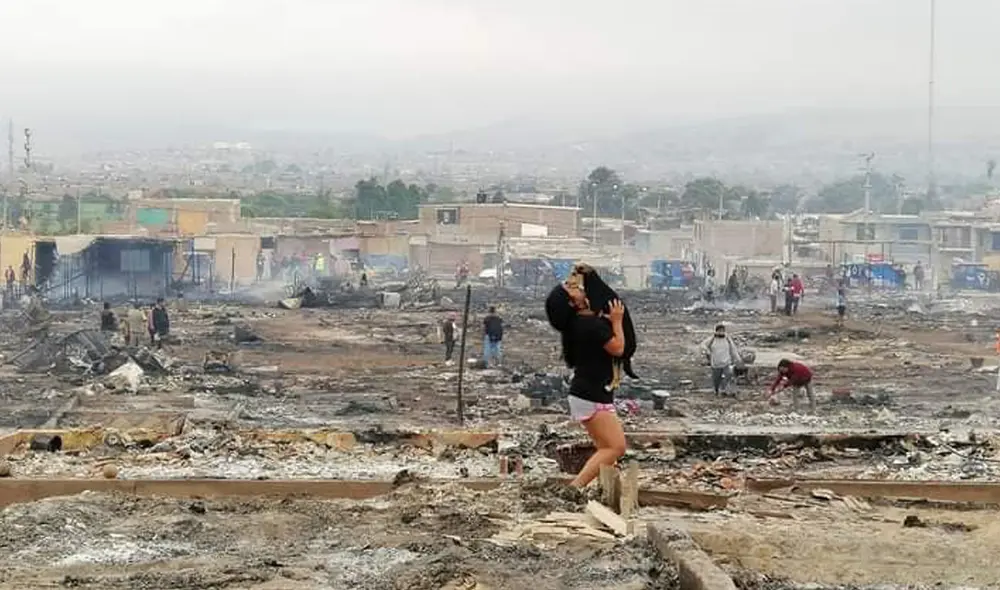 Aparentemente, el can salió desesperado y no se supo más de su paradero. Foto: Chimbote Post