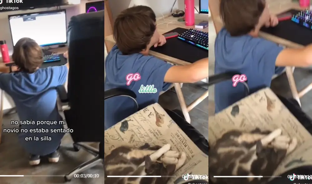 El conmovedor video cuenta con más de cuatro millones de visualizaciones. Foto: captura de TikTok