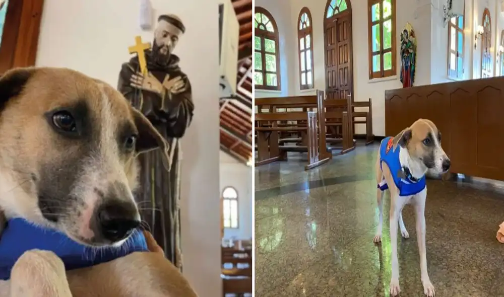 Miles de usuarios quedaron conmovidos al conocer esta historia. Foto: captura de Facebook