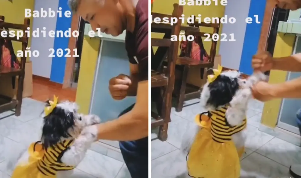 Las imágenes cautivaron a miles de usuarios en las redes sociales. Foto: captura de TikTok Las imágenes cautivaron a miles de usuarios en las redes sociales. Foto: captura de TikTok