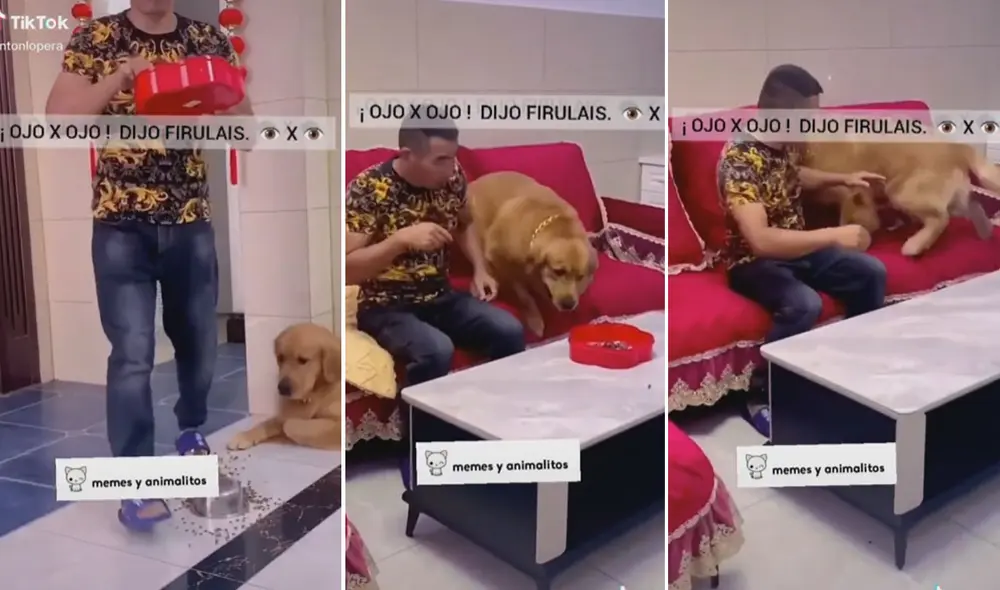 Miles de usuarios no han parado de reír con estas divertidas imágenes. Foto: captura de TikTok