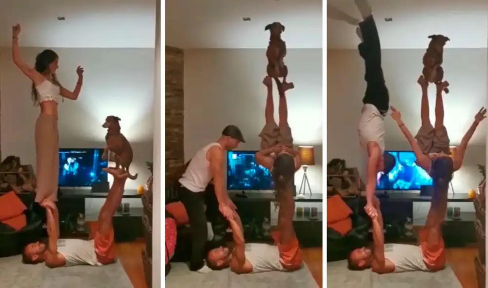 Una pareja realizó un streaming para mostrar un improvisado espectáculo en el interior de su casa; sin embargo, nadie imaginó que su mascota se les iba a unir. Foto: captura de YouTube