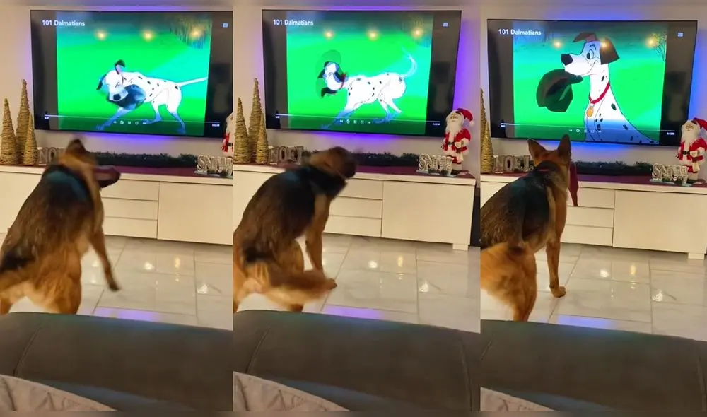 Video ha obtenido más de seis millones de reproducciones en TikTok. Foto: captura de TikTok