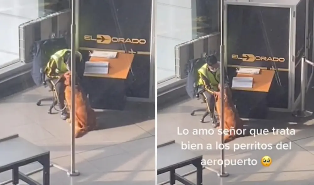 La escena logró obtener más de 571.000 reproducciones, 59.000 'me gusta' y cientos de comentarios halagadores. Foto: captura de TikTok La escena logró obtener más de 571.000 reproducciones, 59.000 'me gusta' y cientos de comentarios halagadores. Foto: captura de TikTok