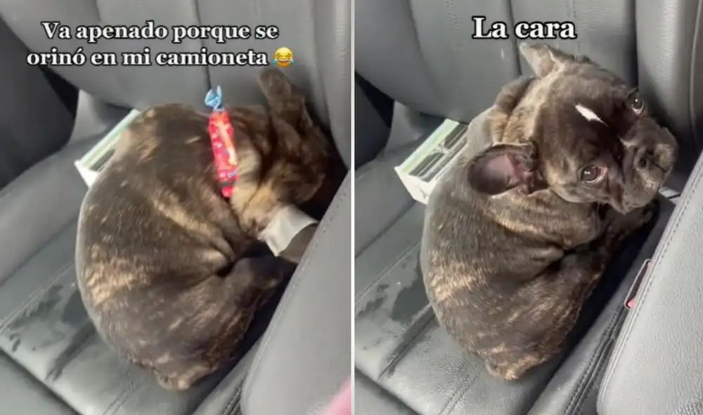 La escena que conmovió a miles fue reproducida 78.000 veces y tuvo más de 9.000 'me gusta'. Foto: captura de TikTok La escena que conmovió a miles fue reproducida 78.000 veces y tuvo más de 9.000 'me gusta'. Foto: captura de TikTok