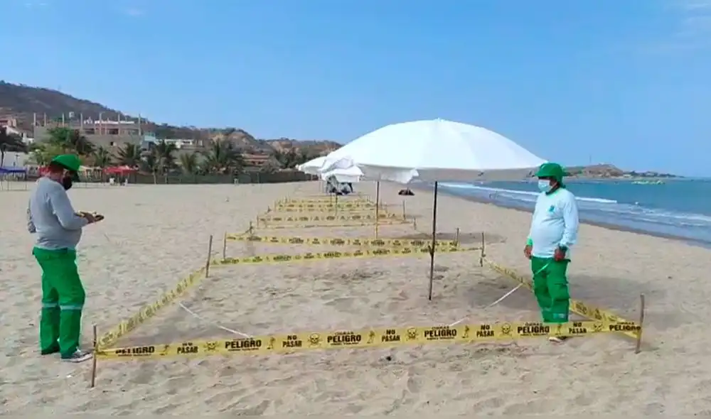 Se busca generar confianza entre los visitantes para cuando acudan a estos recintos naturales. Foto: captura/MPVC