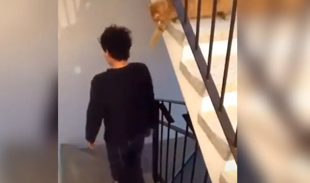 Miles de usuarios no han parado de reír con estas imágenes. Foto: captura de TikTok