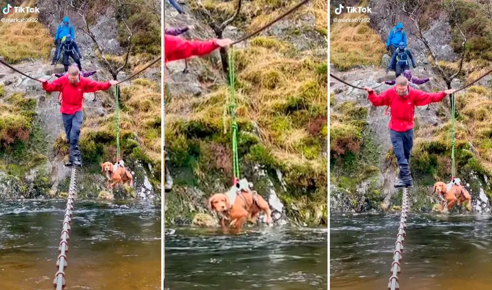 El hombre no quiso dejar a su perrito y lo ató en las cuerdas para atravesar juntos el afluente. Foto: captura de TikTok