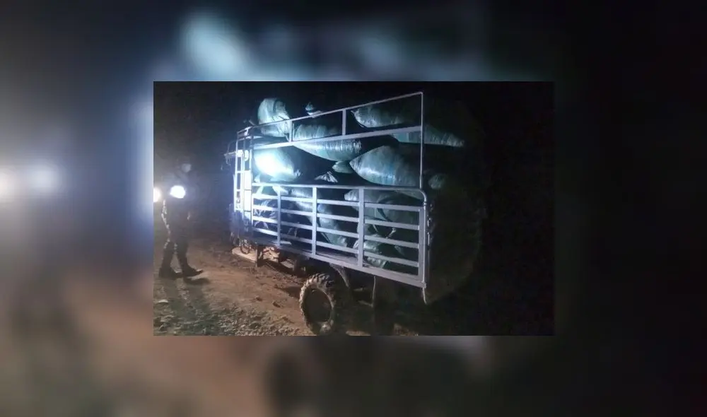 Incautación de coca en Cusco. Foto: PNP