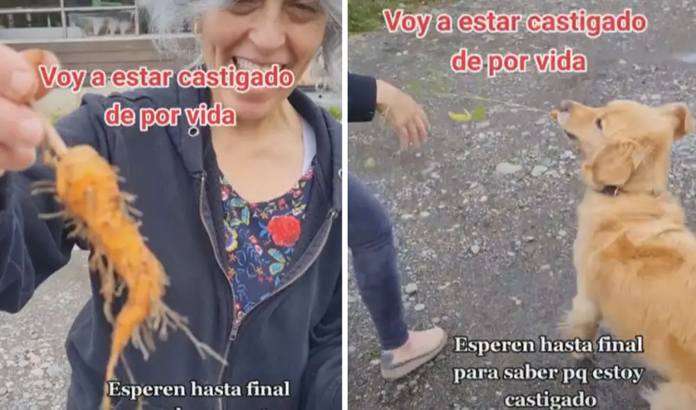 Las imágenes hicieron reír a una gran cantidad de usuarios en las redes sociales. Foto: captura de TikTok