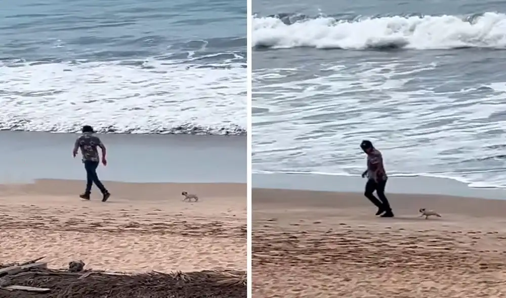 Un transeúnte se detuvo cuando se percató que un joven jugaba a las ‘chapadas’ con un pequeño can. Foto: captura de TikTok