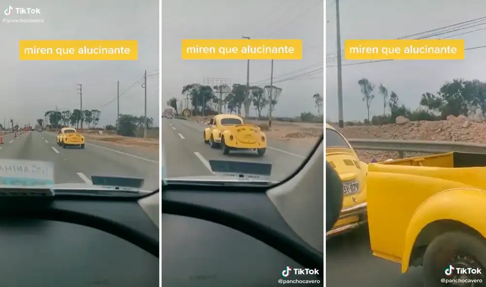 Los Volkswagen Escarabajo fueron los autos más populares debido a su diseño económico. Foto: captura de TikTok Los Volkswagen Escarabajo fueron los autos más populares debido a su diseño económico. Foto: captura de TikTok