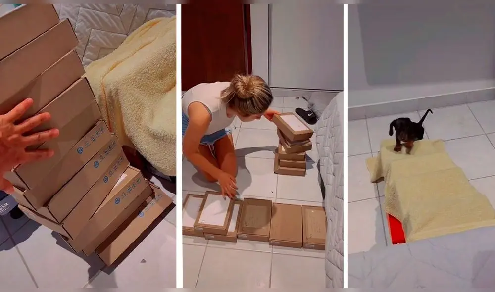 Video consiguió más de tres millones de reproducciones en TikTok. Foto: captura de TikTok