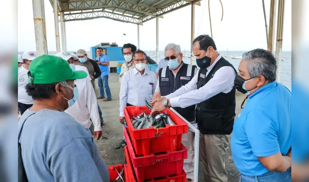 La especie el bonito se redujo en 14,3% y del jurel en 20%. Foto: Produce