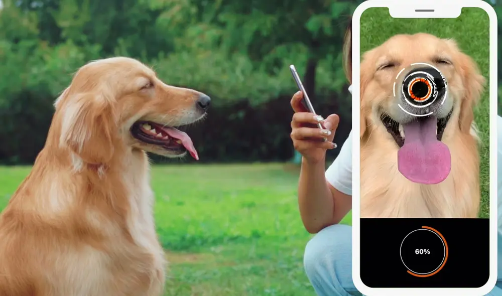 La app escanea la nariz del perro que funciona como su huella digital. Foto: Petnow