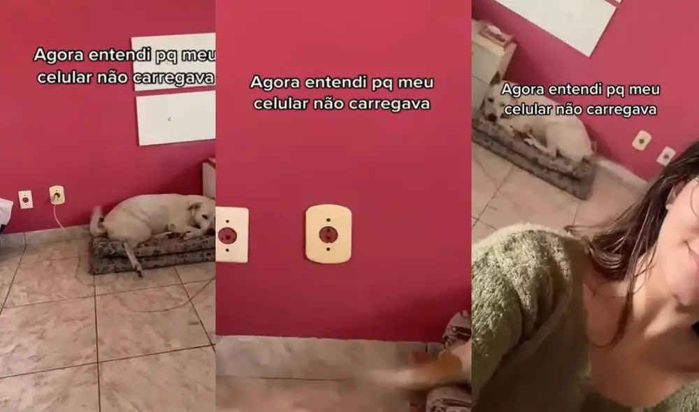 Esto ocurrió en un hogar de Rio de Janeiro, Brasil. Foto: captura de YouTube Esto ocurrió en un hogar de Rio de Janeiro, Brasil. Foto: captura de YouTube