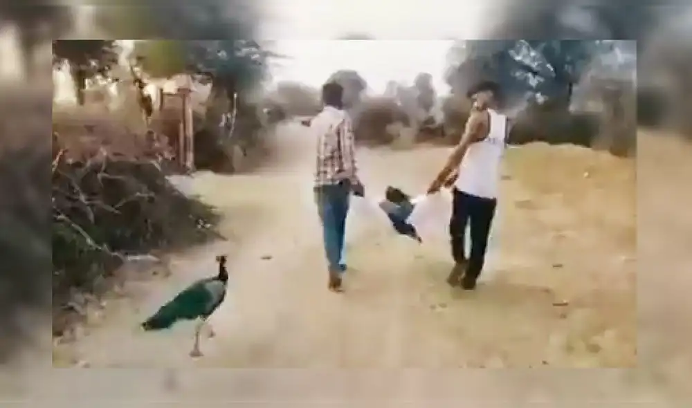 Video superó las 205.000 reproducciones en Facebook. Foto: captura de Facebook