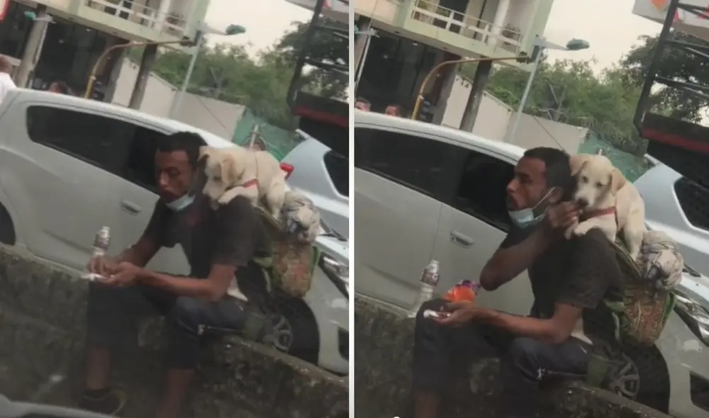 El clip logró obtener más de 4 millones de reproducciones, 547.000 'me gusta' y miles de comentarios en pocos días. Foto: captura de TikTok