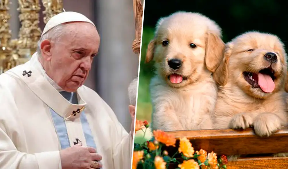 El santo padre instó a las parejas a pensar en la adopción si es que no pueden concebir hijos de forma biológica. Foto: composición LR/Fabrizio Oviedo El santo padre instó a las parejas a pensar en la adopción si es que no pueden concebir hijos de forma biológica. Foto: composición LR/Fabrizio Oviedo