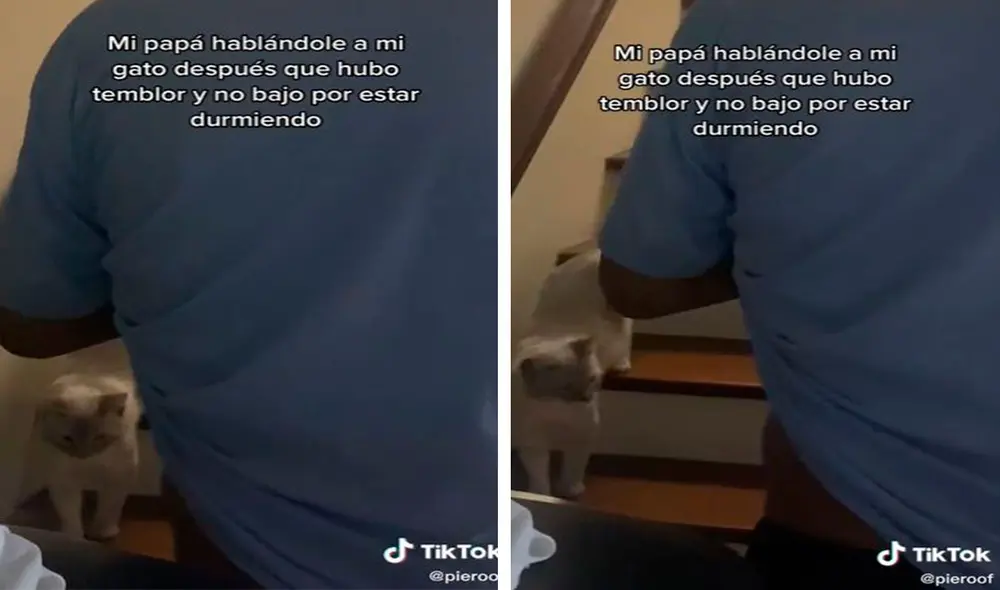 Un hombre se preocupó por su gato y lo buscó para protegerlo durante el movimiento telúrico; sin embargo, no imaginó que este estaba durmiendo en su cama. Foto: captura de TikTok