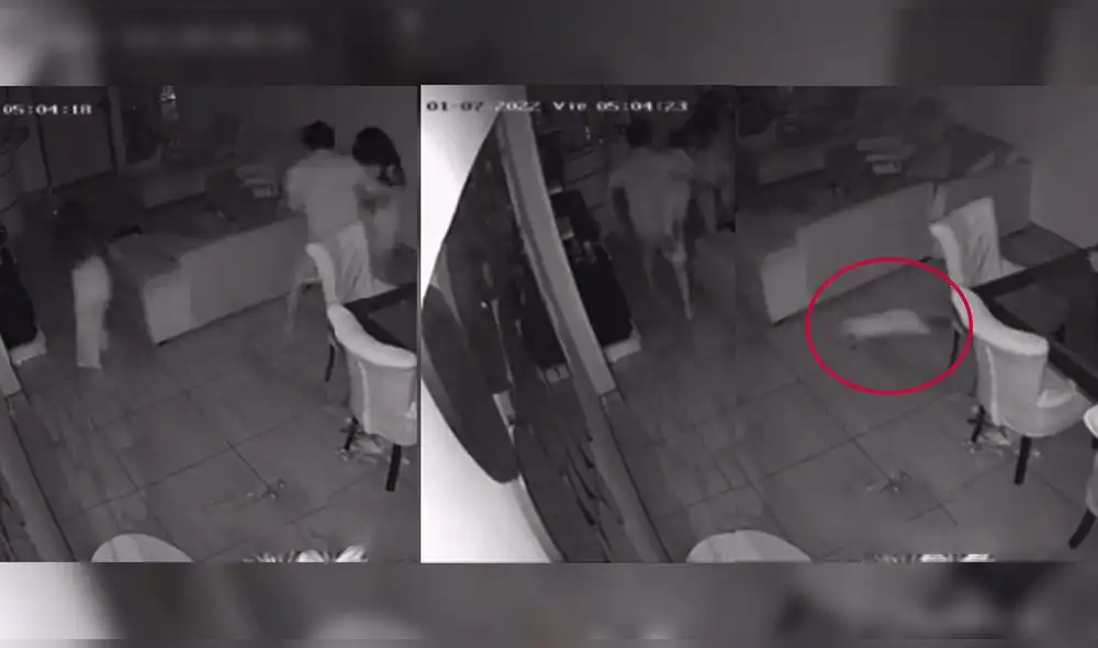 Video ha sido visto por casi medio millón de usuarios. Foto: captura de TikTok Video ha sido visto por casi medio millón de usuarios. Foto: captura de TikTok