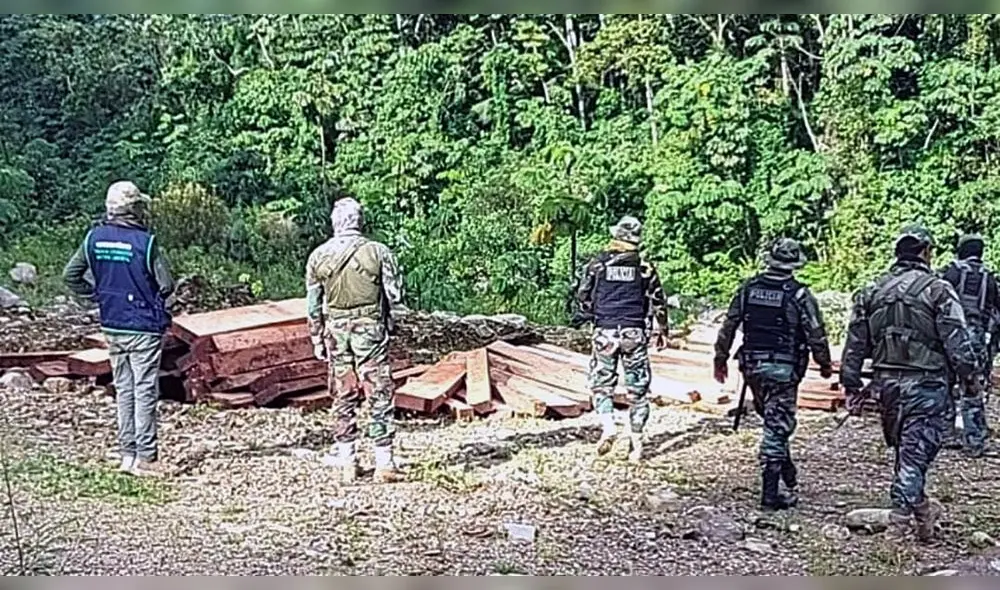Cusco. Agentes policiales intervinieron a personas que talaban árboles. Foto: Ministerio Público Cusco. Agentes policiales intervinieron a personas que talaban árboles. Foto: Ministerio Público
