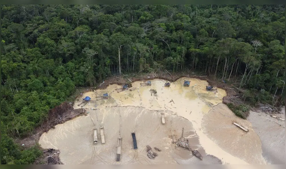 Los agentes del orden continuarán con este tipo de intervenciones a fin de erradicar la extracción ilegal. Foto: PNP Los agentes del orden continuarán con este tipo de intervenciones a fin de erradicar la extracción ilegal. Foto: PNP