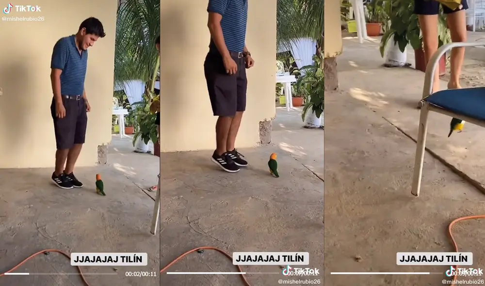 En el lugar también estaba una mujer, quien sonrió al ver al loro. Foto: captura de TikTok