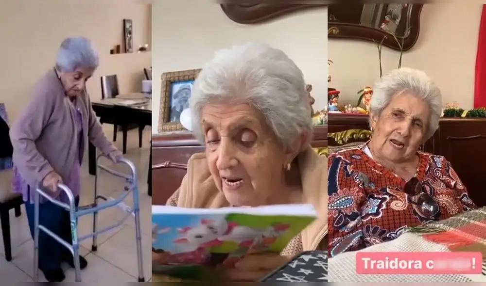 Video consiguió más de 80.700 reproducciones en TikTok. Foto: captura de TikTok