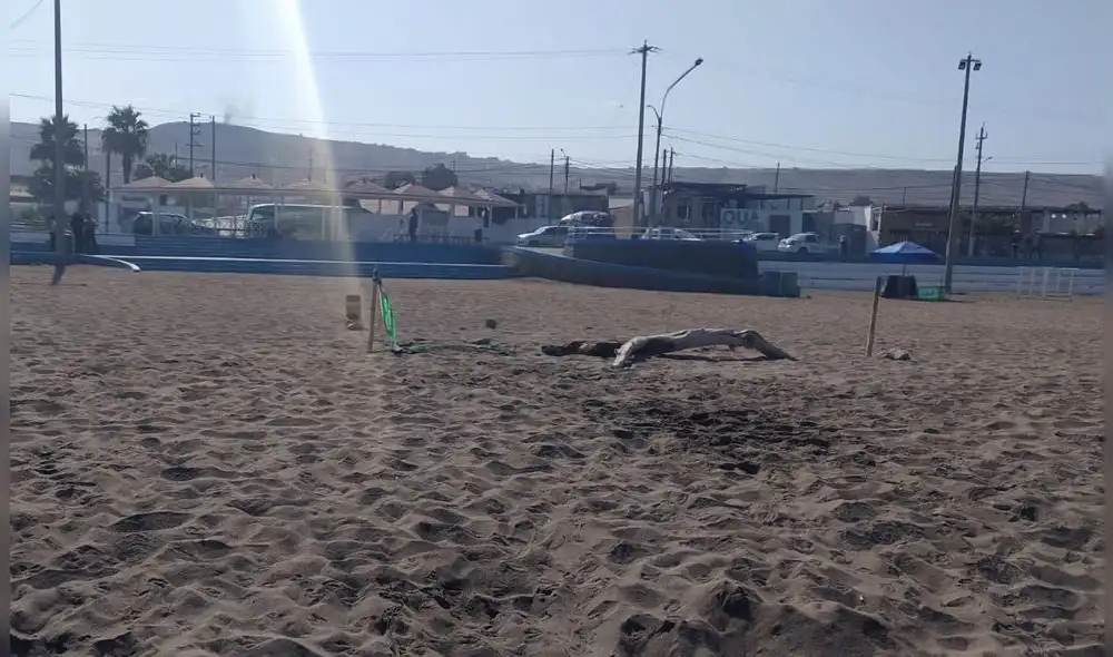 Comuna pidió a población denunciar actos similares. Foto: Municipalidad de Ilo