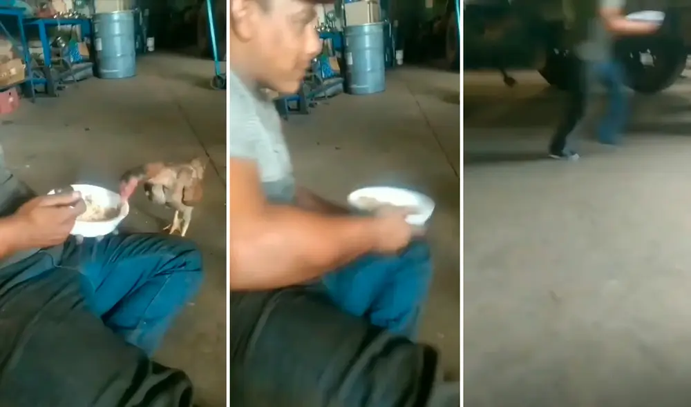 El hombre se quedó sorprendido al ver que el ave se iba corriendo con su comida. Foto: captura de TikTok
