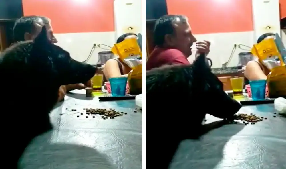 El hombre le sirvió un poco de croquetas a su ‘amigo de cuatro patas’ en la mesa para que estuviera cómodo mientras miraban el evento deportivo. Foto: captura de Facebook