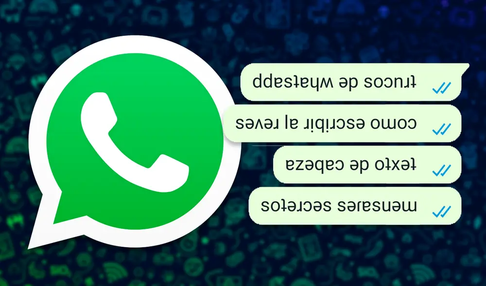 Puedes disfrutar de esta función a través de la aplicación para Android y iPhone, así como en la versión de WhatsApp Web. Foto: composición/La República