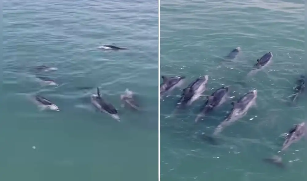 Video fue compartido por fotógrafo durante sus vacaciones. Foto: Instagram Pablo Oh