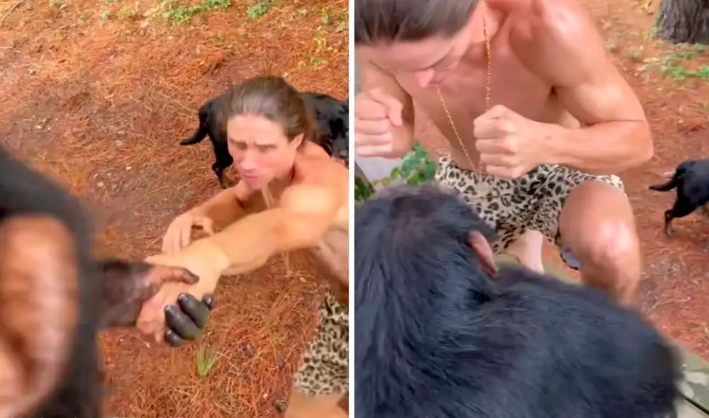 Las imágenes del chimpancé ayudando al humano sorprendieron a los usuarios en redes. Foto: captura de TikTok