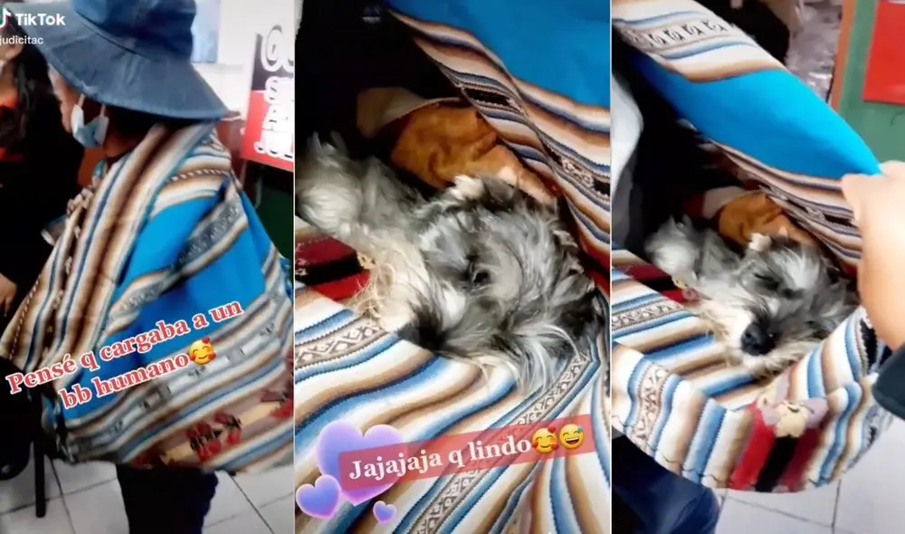 La escena de la mascota en una lliklla llegó a ser reproducida unas 750.000 veces y obtuvo más de 50.000 'me gusta'. Foto: captura de TikTok